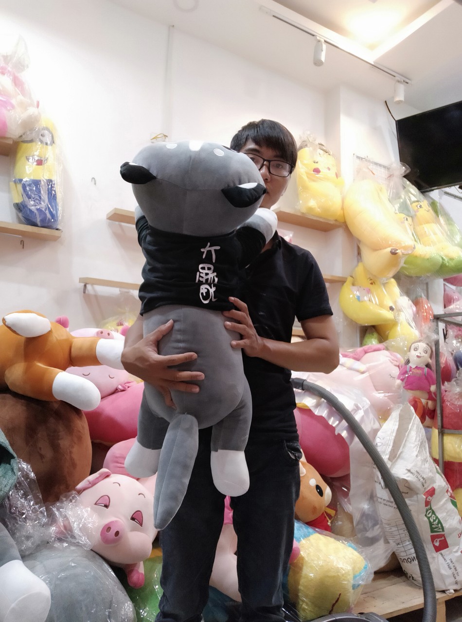 Chó Bông Husky Mèo Bông Husky