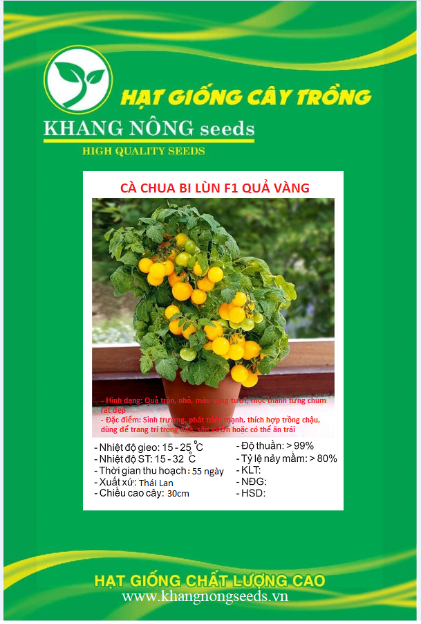 Hạt giống cà chua bi lùn f1 quả vàng - gói 30 hạt