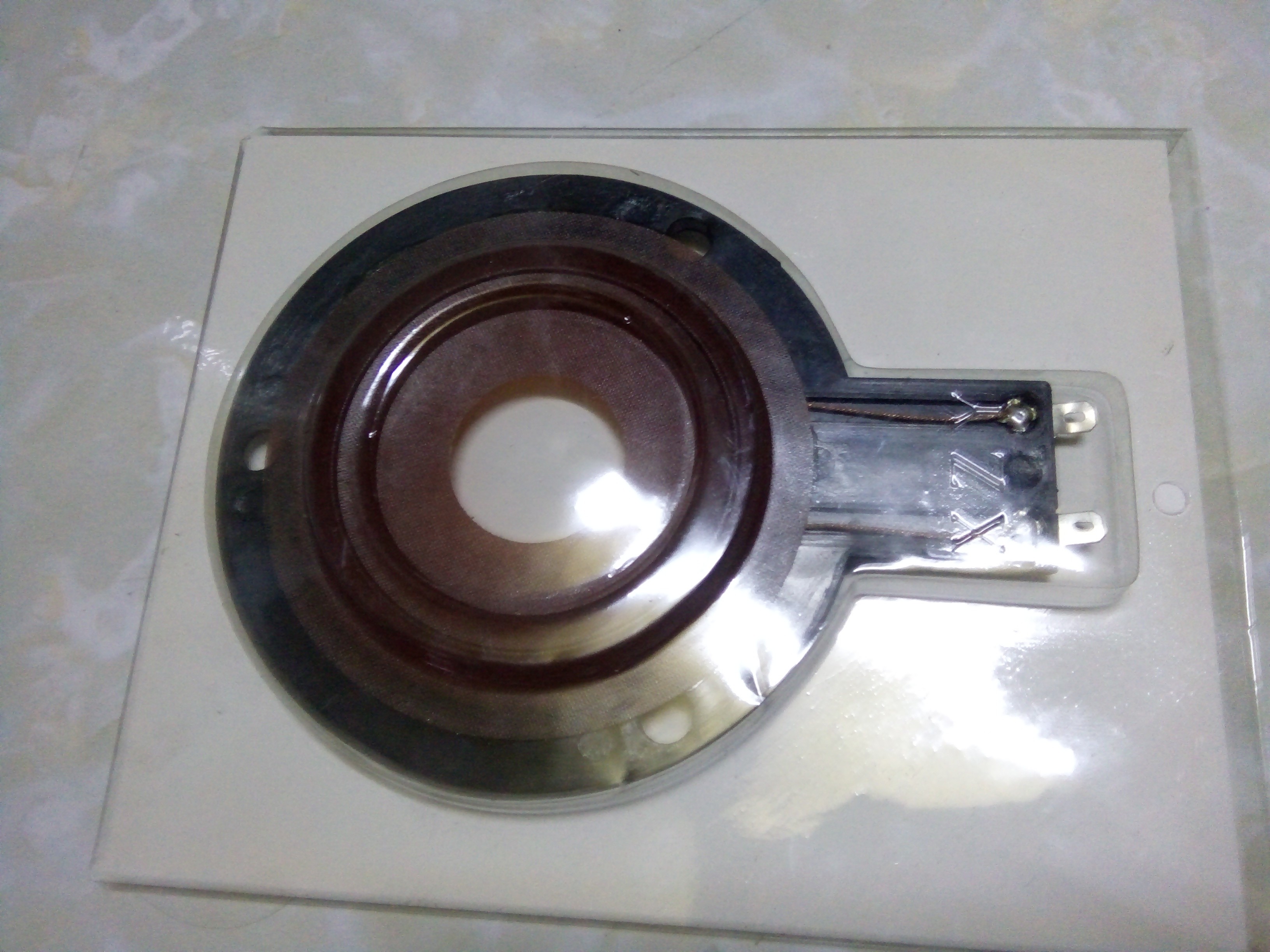 2 coil treble luu đan