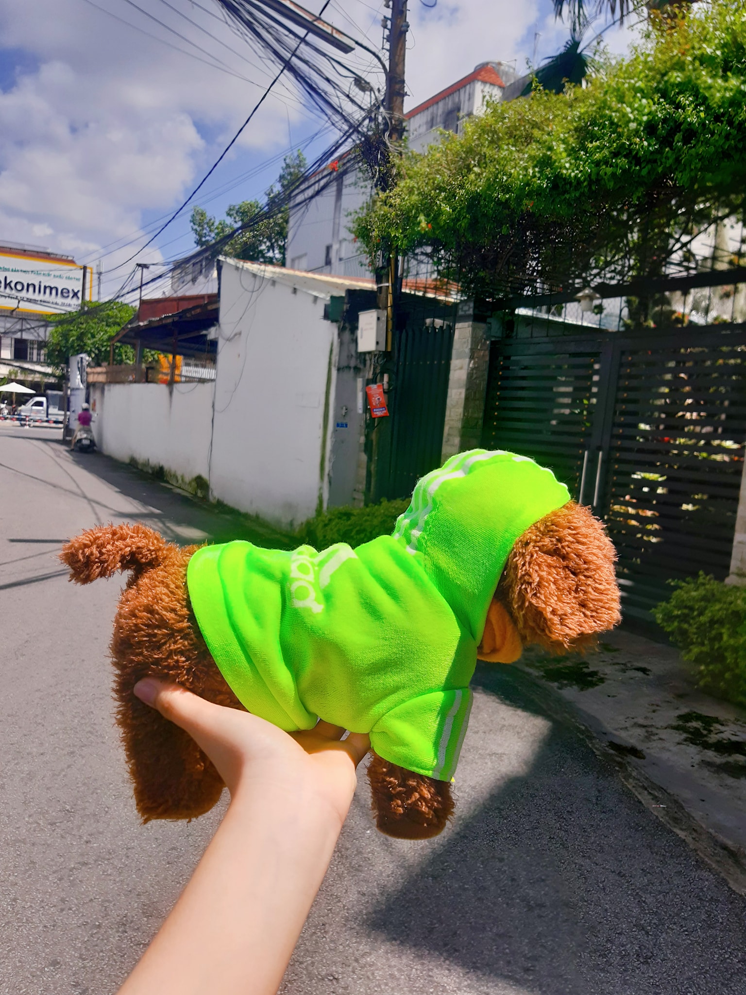 ĐỒ CHƠI CHÓ NHỒI BÔNG BIẾT ĐI - BIẾT HÁT