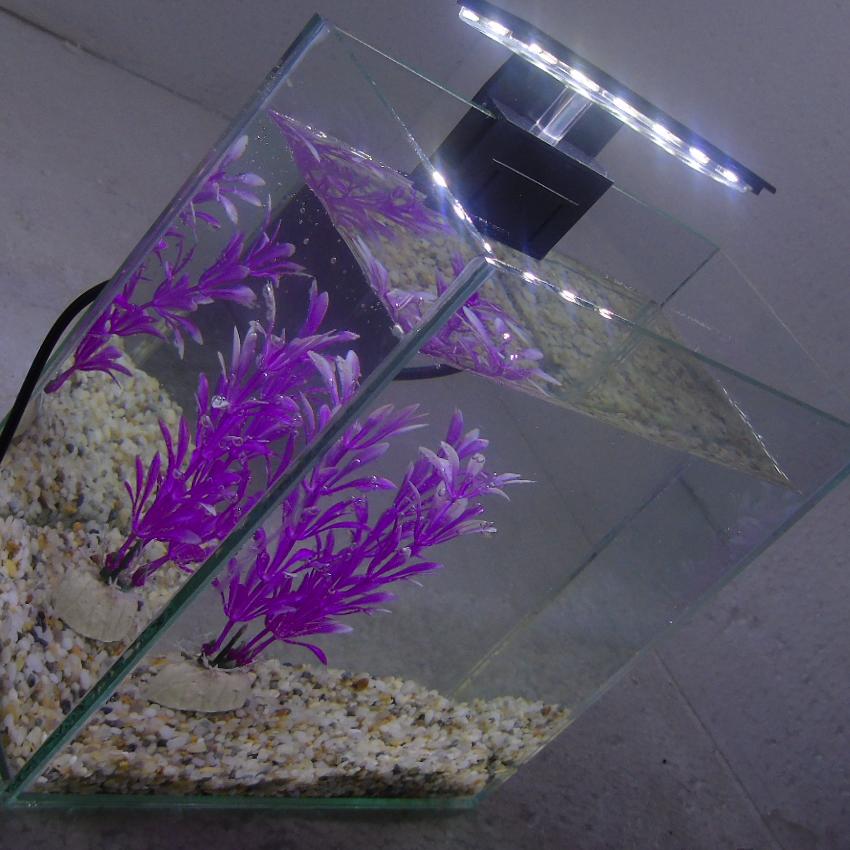 Bể cá mini để bàn 20x10x20 + Đèn Led