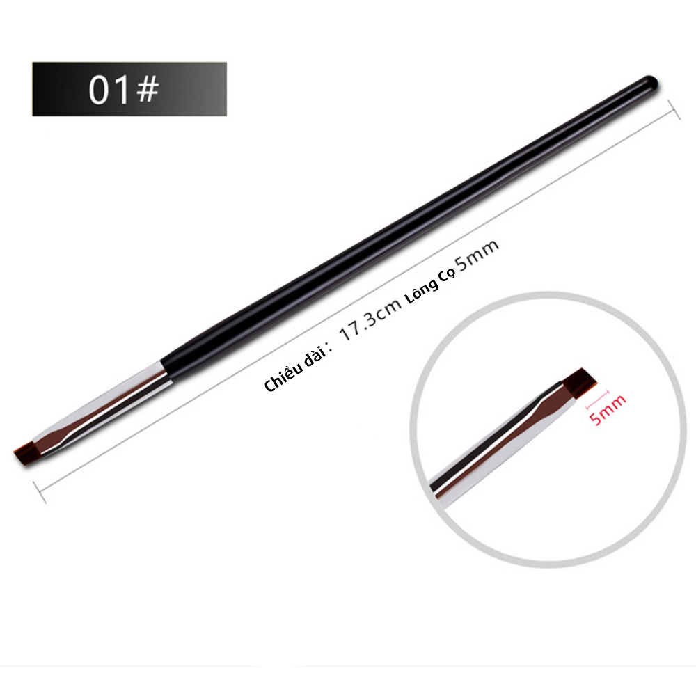 Set 5 Cọ Bản Vẽ Móng Cán Đen