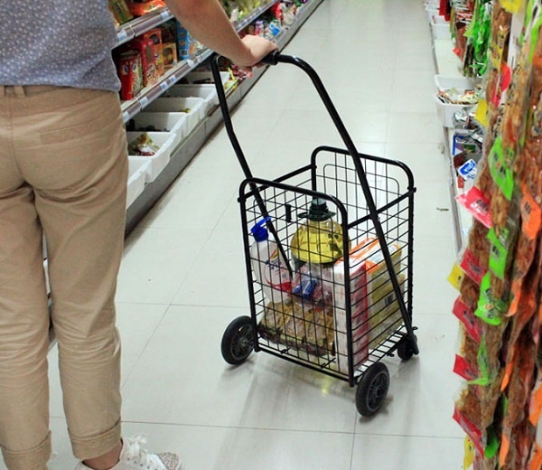 [HCM]Xe kéo đi chợ đa năng cỡ lớn - XKCL