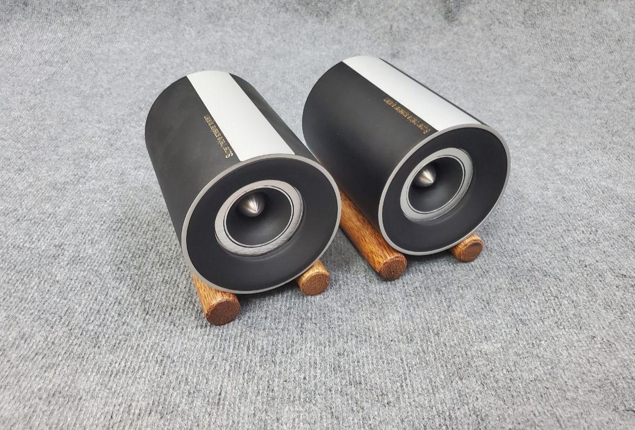 Cặp Loa Siêu Treble Pioneer VE06