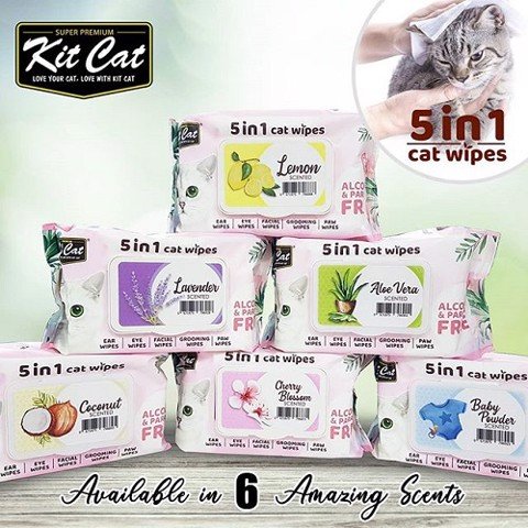 Khăn ướt kháng khuẩn vệ sinh cho mèo Kitcat