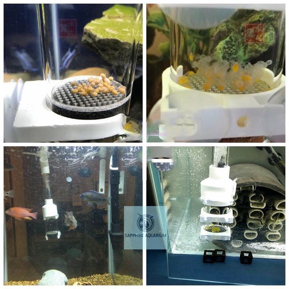 Lồng ấp trứng cá Cichlids Fish Egg Incubator Ø50