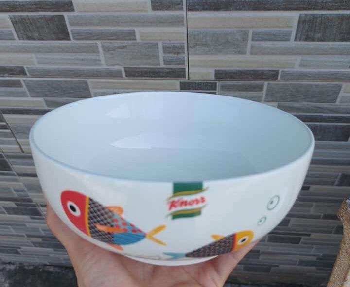 Tô - đĩa sứ hoạ tiết cá 18cm - 20cm