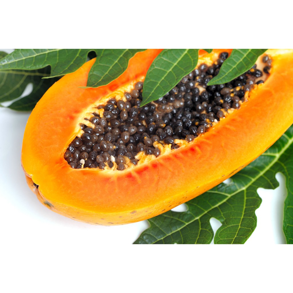 5 Hạt giống Đu Đủ Lùn Ruột Đỏ F1 - Quả to đẹp năng suất cao (gói 5 hạt )