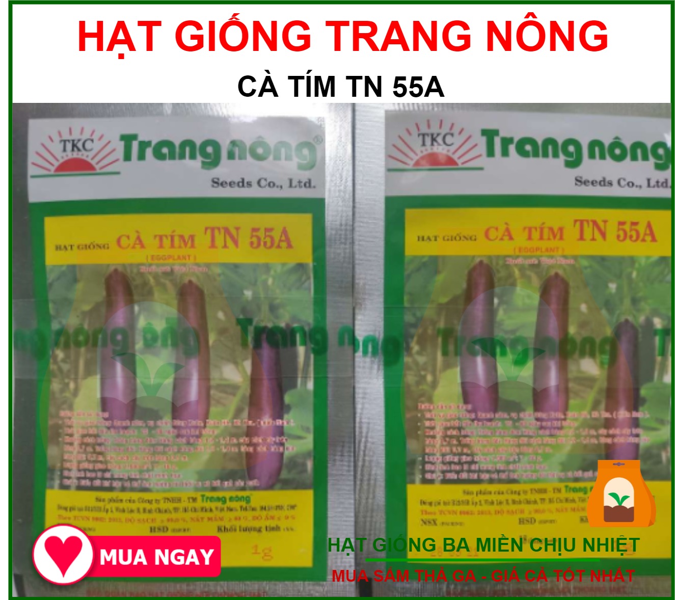 HẠT GIỐNG CÀ TÍM Trang Nông 1gram