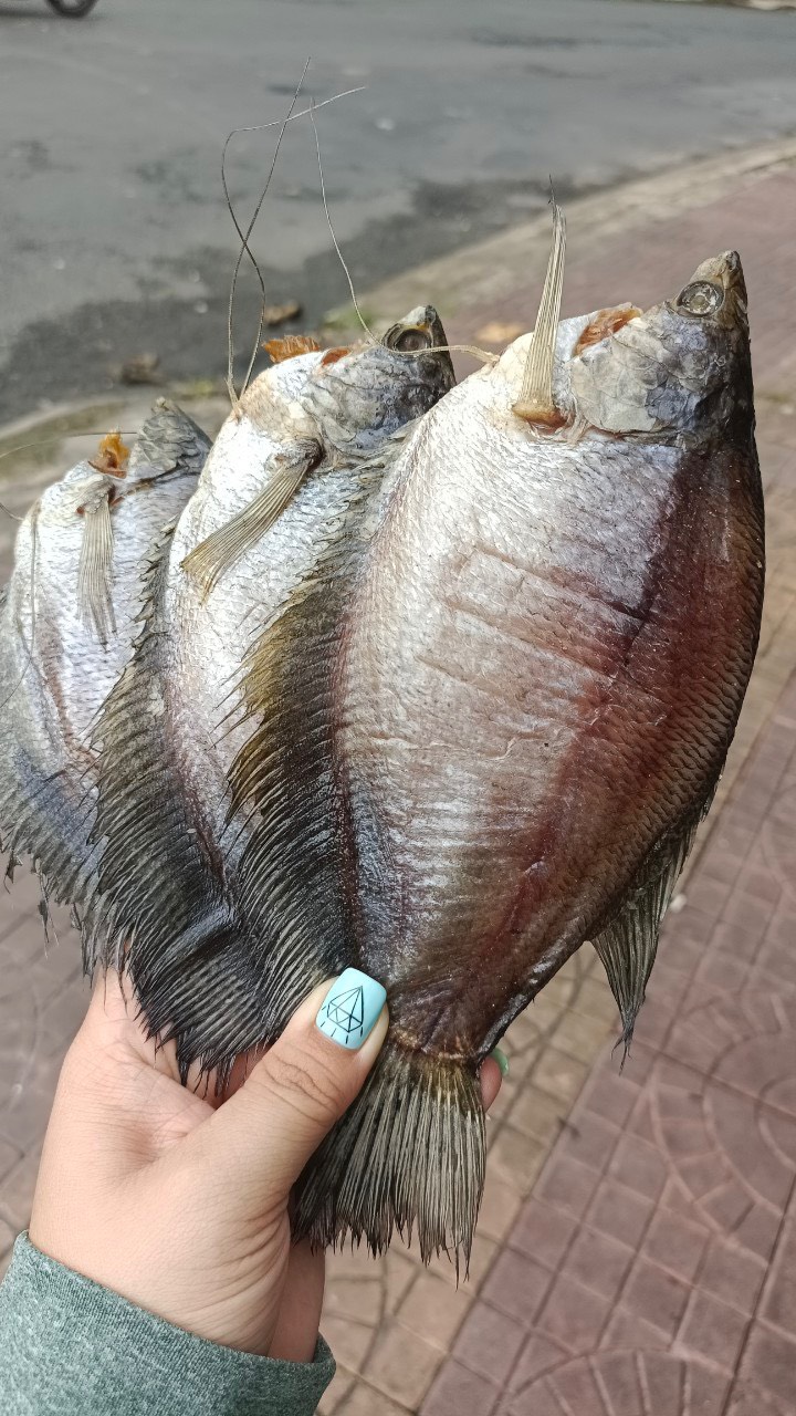 Khô Cá Sặc Bổi Lạt 3 Nắng Size Mập 8 con/Kg