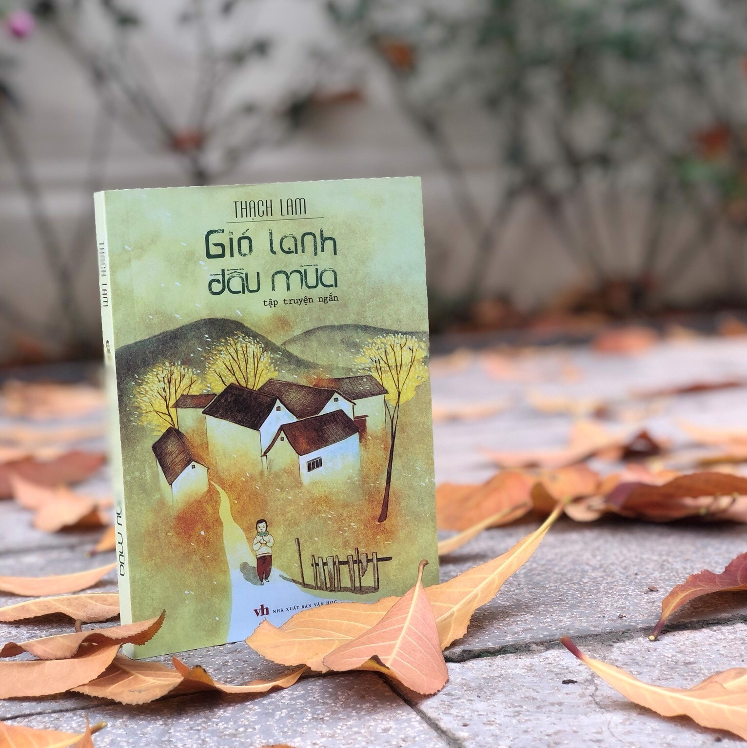 Sách: Gió Lạnh Đầu Mùa