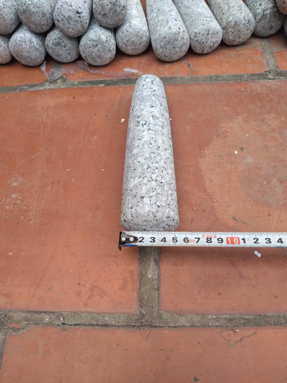 CHÀY ĐÁ DÀI 22CM