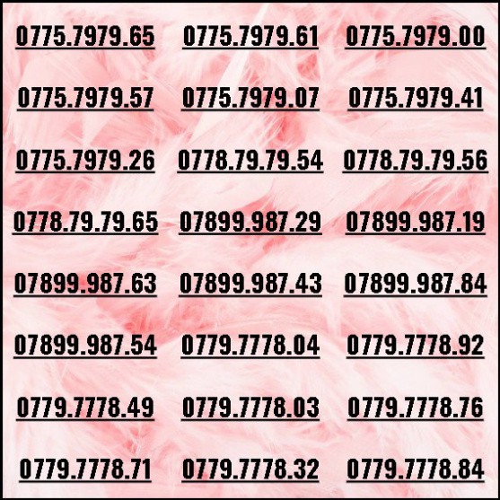 [HCM]Sim tiến phong thủy 73.74.75 dễ nhớ