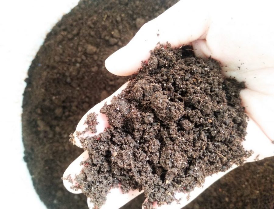 2KG TRÙN QUẾ - PHÂN BÓN HỮU CƠ - PHÂN TRÙN QUẾ CAO CÁP
