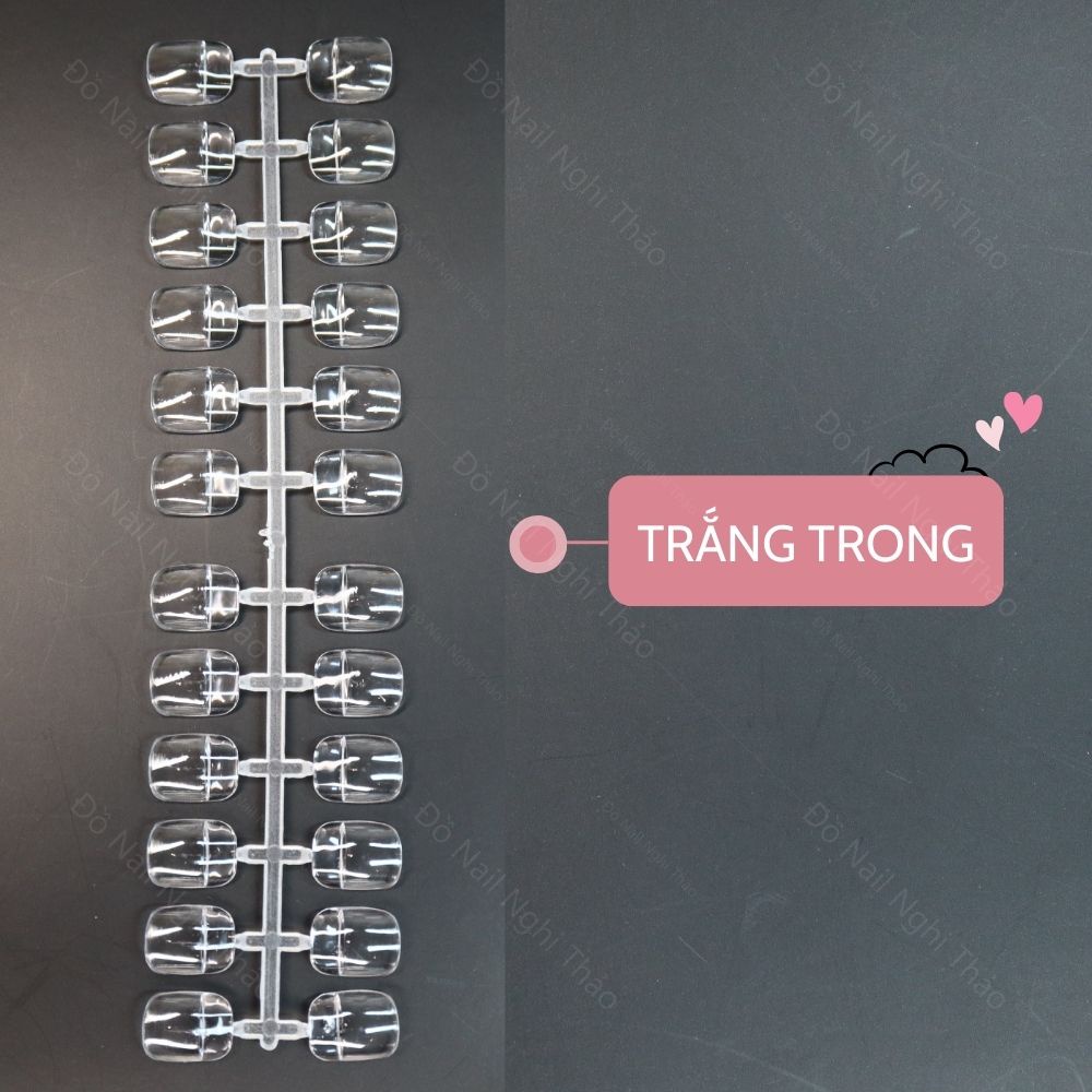 Móng mẫu vuông tập vẽ form Hàn Quốc