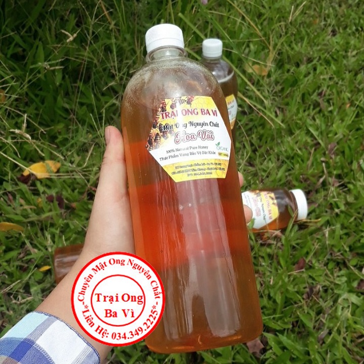 Mật ong nguyên chất hoa vải của trại ong ba vì