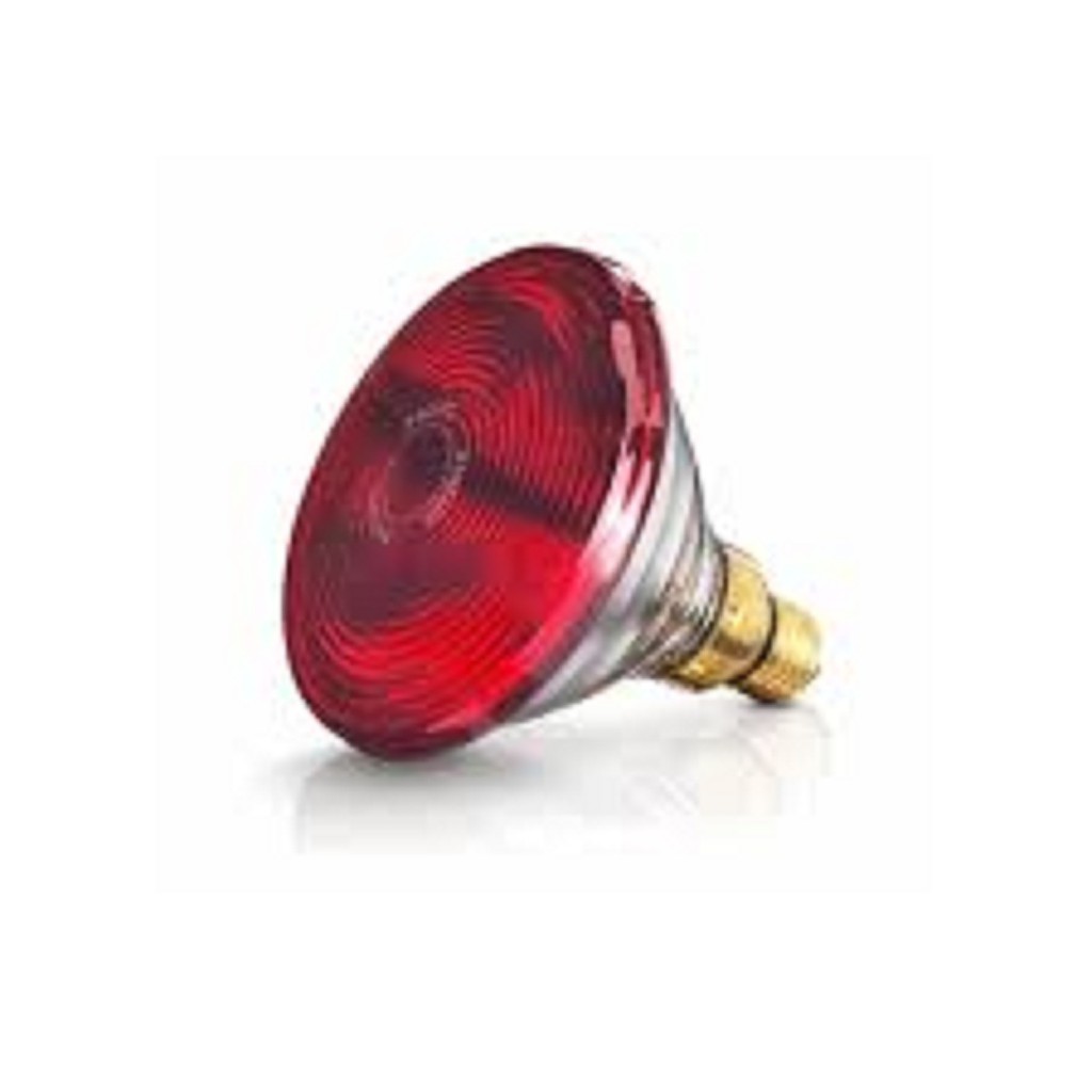 Bóng đèn hồng ngoại philip 150w