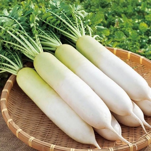Củ Cải Muối 1Kg
