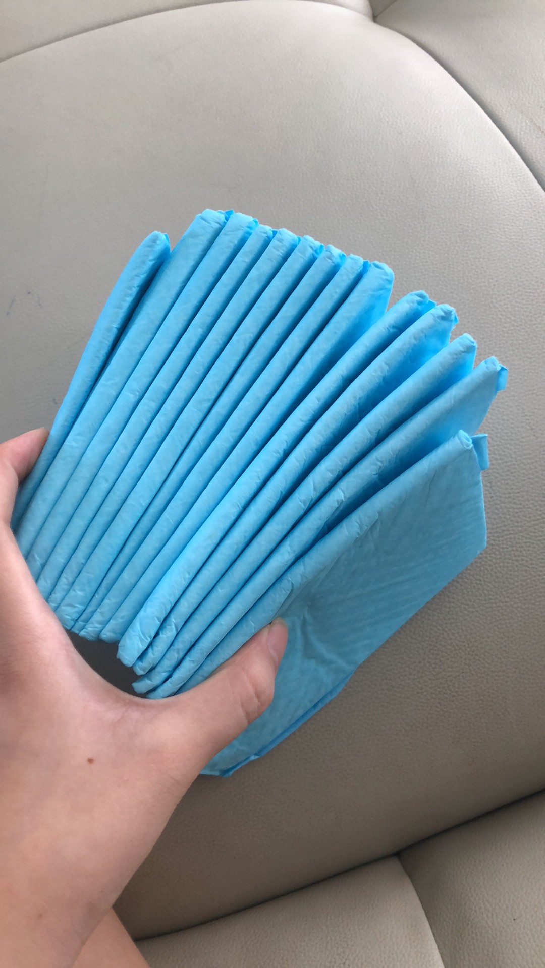 Tã Lót dành cho Chó , Mèo ( có nhiều size ).