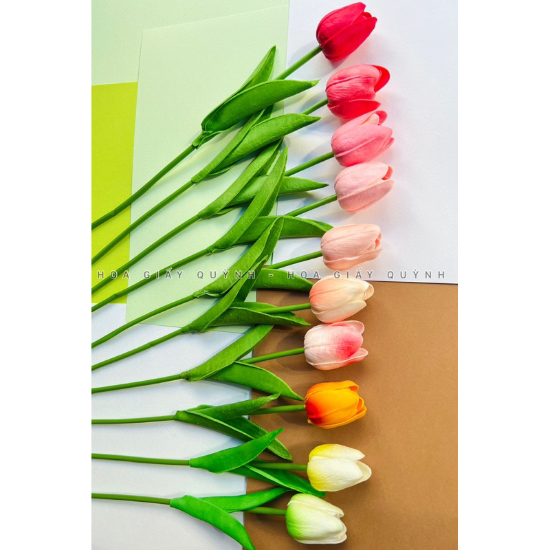 HOA TULIP cao su non mini