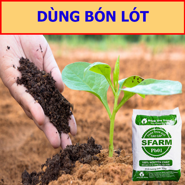Phân Trùn Quế Nguyên Chất 10Kg