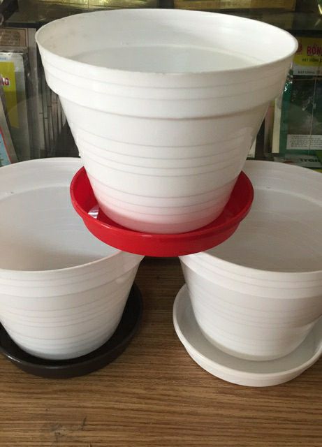 combo 2 cái dĩa lót chậu đk 14cm