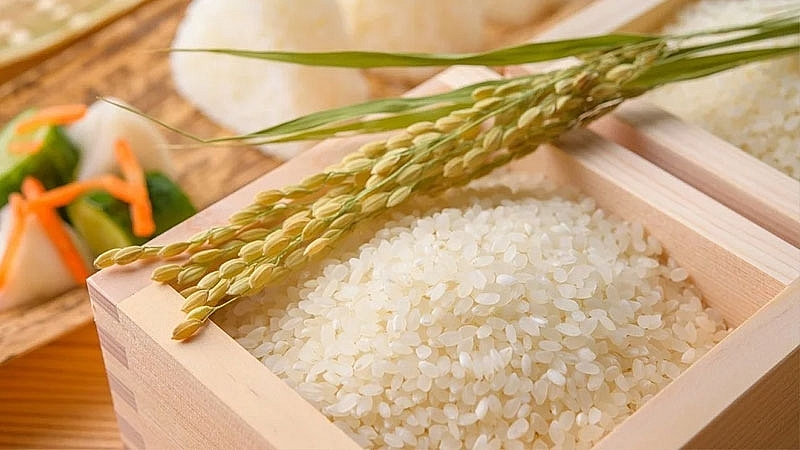 Gạo Tấm ST25 - Bịch (2kg)
