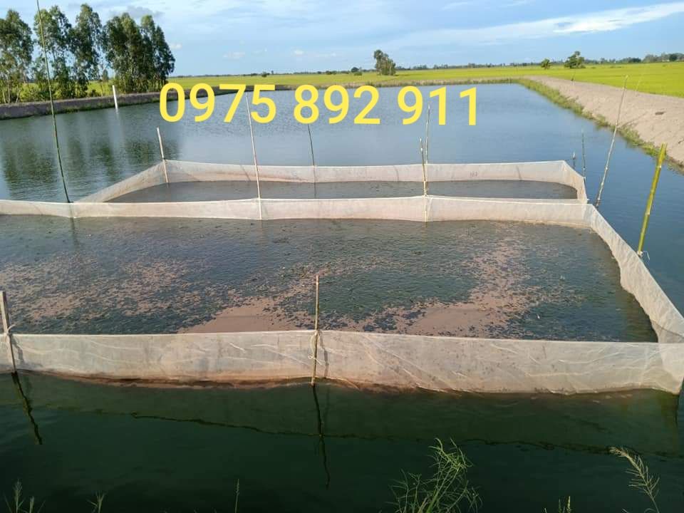 Tráng vèo lồng nuôi ốc , ếch ,cá - loại 10x5x1,3