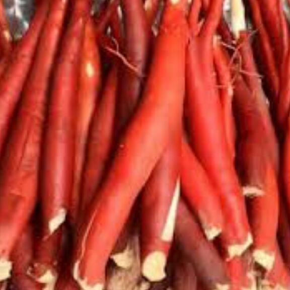 1kg sâm cau đỏ tươi