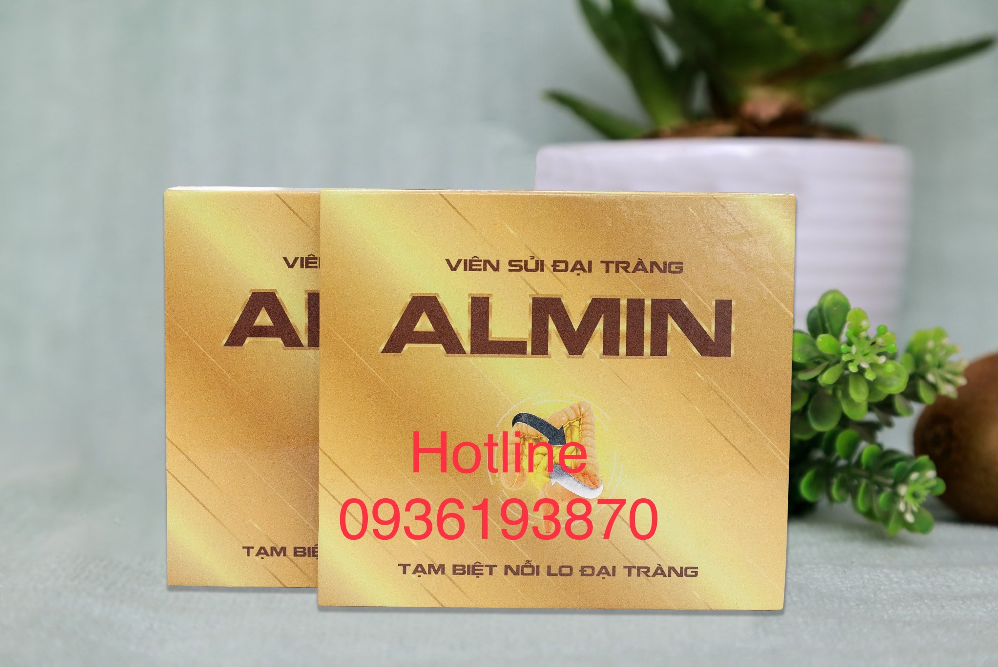 ĐẠI TRÀNG ALMIN