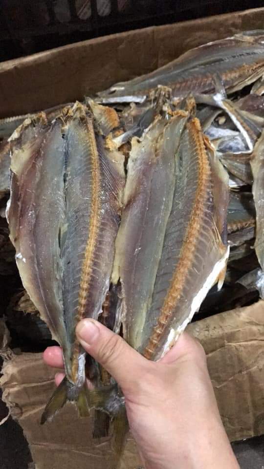 1KG CÁ THU XẺ KHÔ NẠC THỊT SIÊU NGON