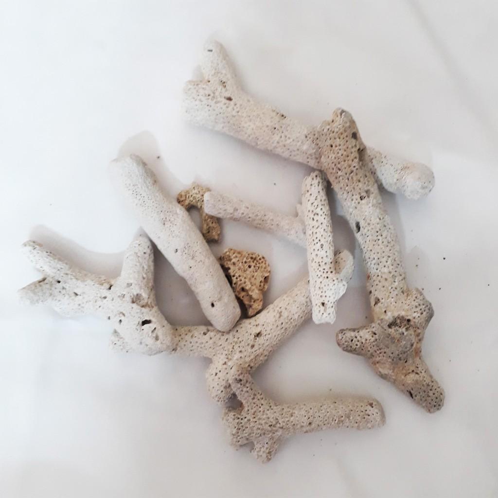 San hô lọc hồ cá 1kg - san hô bể cá