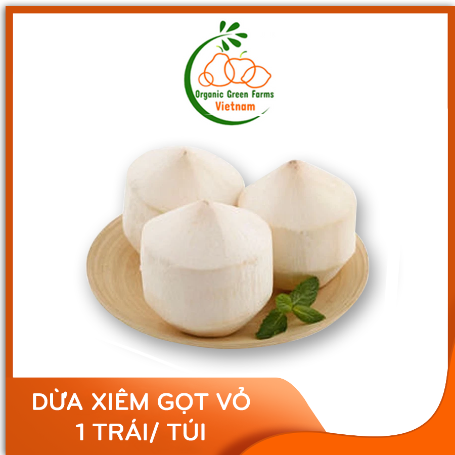 [OGF] - Dừa xiêm gọt vỏ (trái/gói) - Giao nhanh HCM