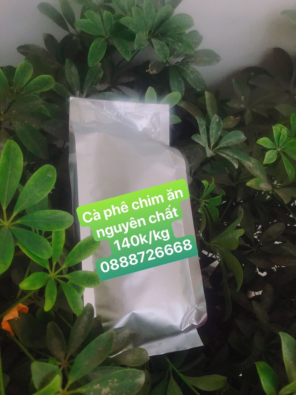 [HCM]Cafe nguyên chất rang xay 100g