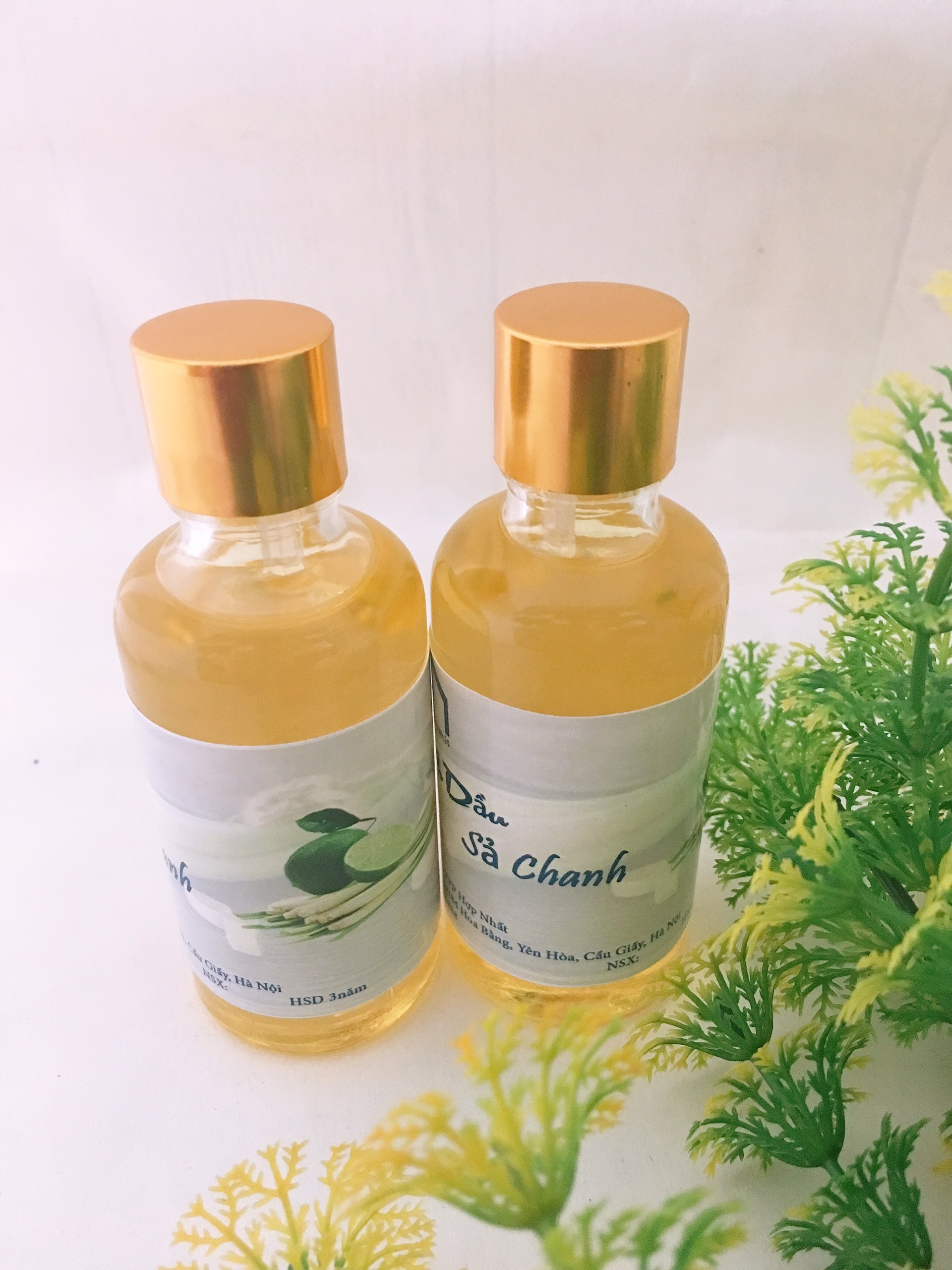 Tinh dầu Sả Chanh nguyên chất  lọ 50ml