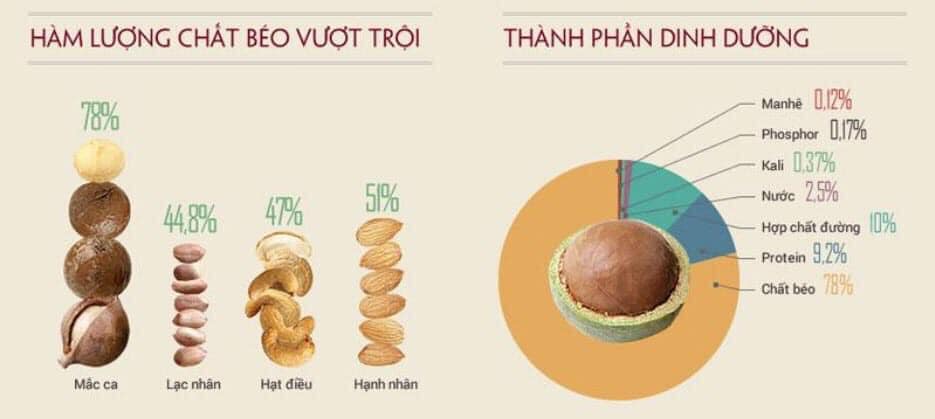 [HCM]Dầu ăn dặm hạt Macca Kunella Đức 100ml