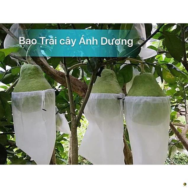 100 cái túi bọc trái cây Size 30x35cm dùng bọc Xoài, bọc Bưởi da xanh hiệu bao trái cây Ánh Dương