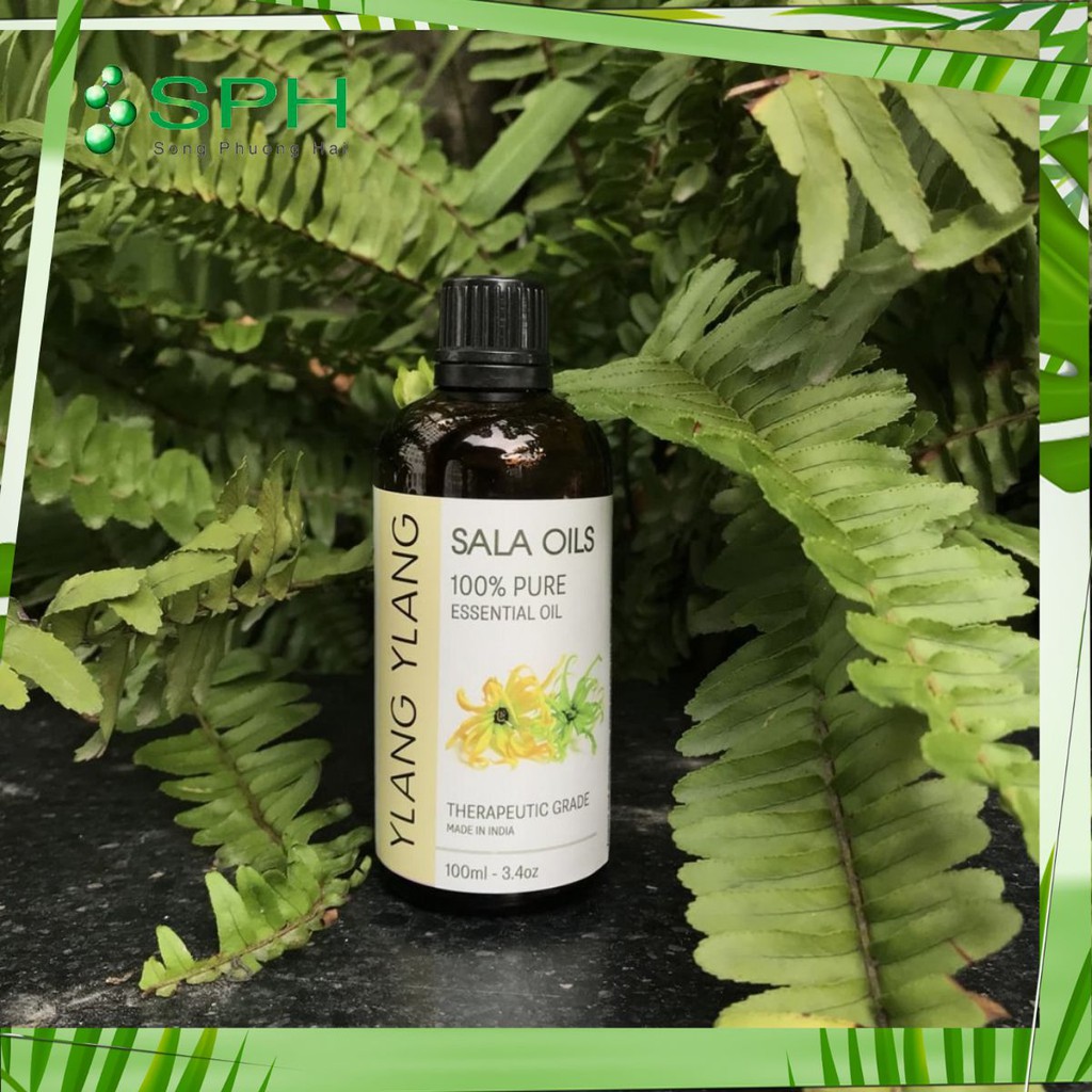 Tinh dầu ngọc lan tây Sala Oils