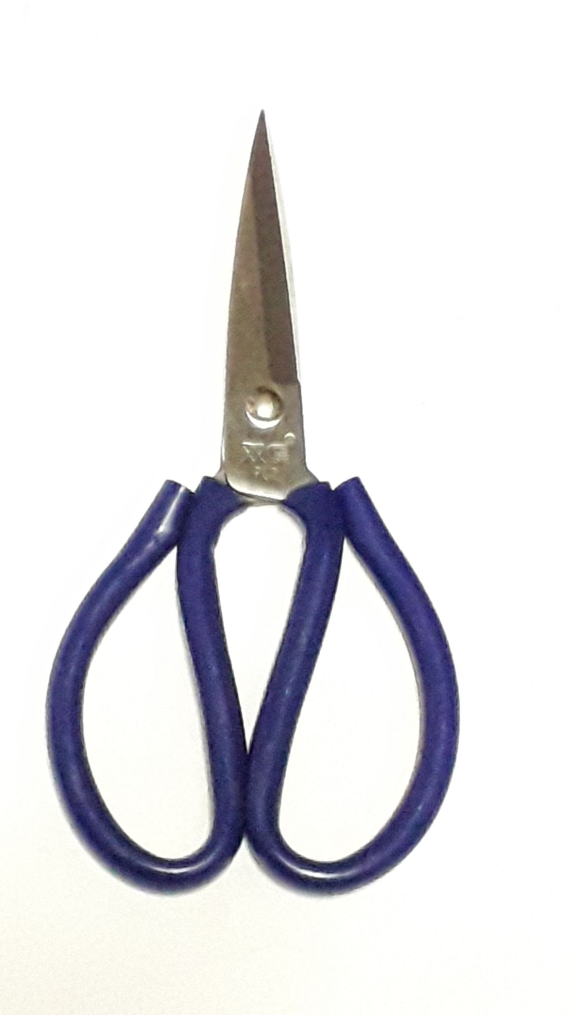 Green P2 X 22cm Thick Iron Scissors