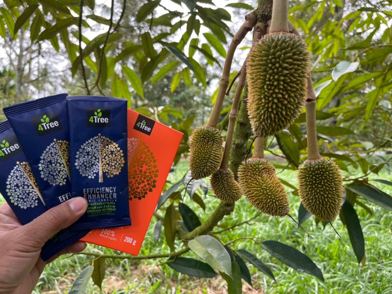 4 tree phân bón hữu cơ combo 3 gói tiết kiệm