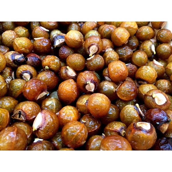 cây giống Bồ Hòn ( chuẩn giống) GFHGFH (ccaay giống đối chứng)