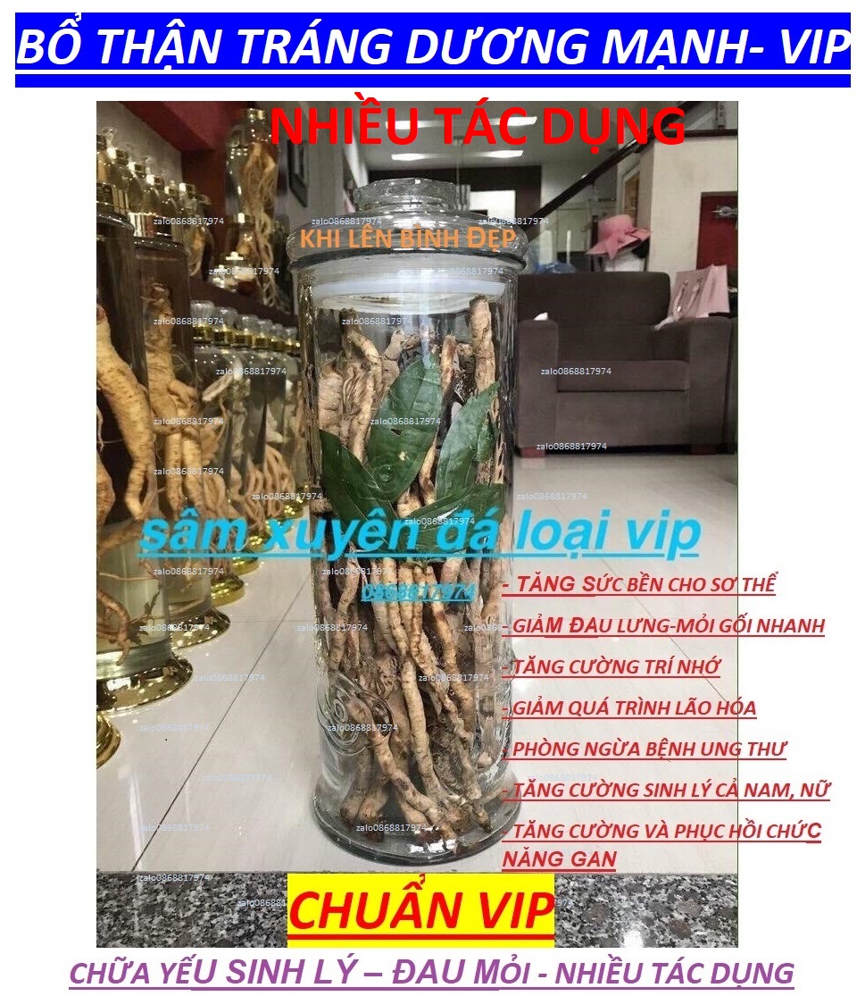 3BỘ SÂM XUYÊN ĐÁ NHƯ SÂM-HÀN-GIẢM ĐAU_LƯNG+MỎI GỐI+LÃOHÓA+UNG_THƯ_GAN+TĂNG CƯỚNG SỨCKHỎE+SINHLÝ+TRÍ NHỚ SXD 2.4