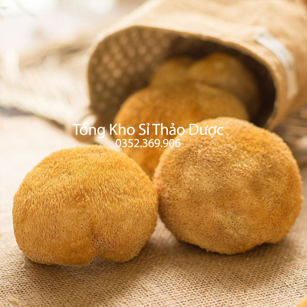 Nấm hầu thủ 500g