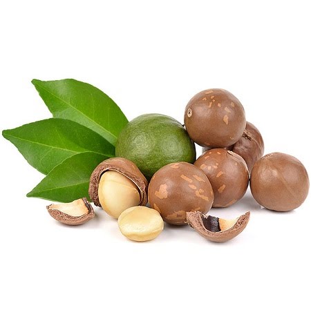 Macca Fresh Tamarind Seeds – Premium, Fatty, Nutritious 500Gr 209K