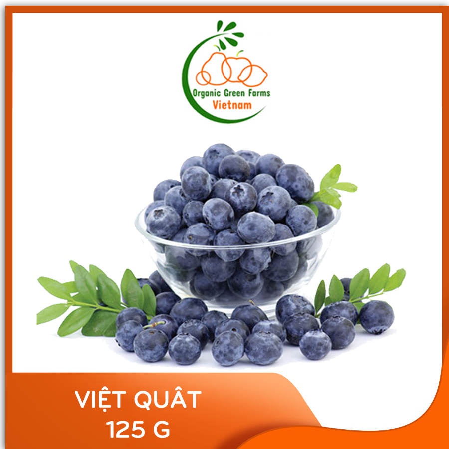 [OGF] - Việt Quất Mỹ (125g) - [Giao nhanh TPHCM]
