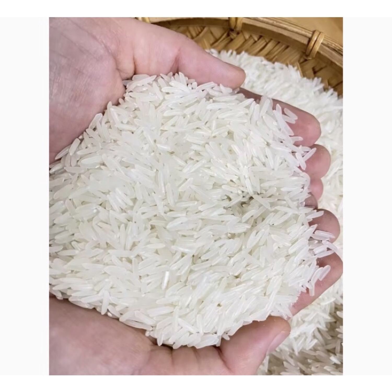 gạo ST25 Ông thọ túi 5kg dẻo mềm