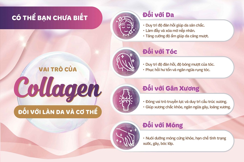 Nước Uống Làm Đẹp Da S Select Collagen Drink (1 lọ)