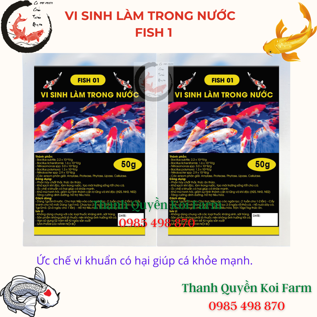 Vi sinh làm trong nước bể cá hồ cá koi cá cảnh FISH 01