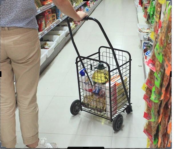 [HCM]Xe kéo đi chợ đa năng cỡ lớn - XKCL