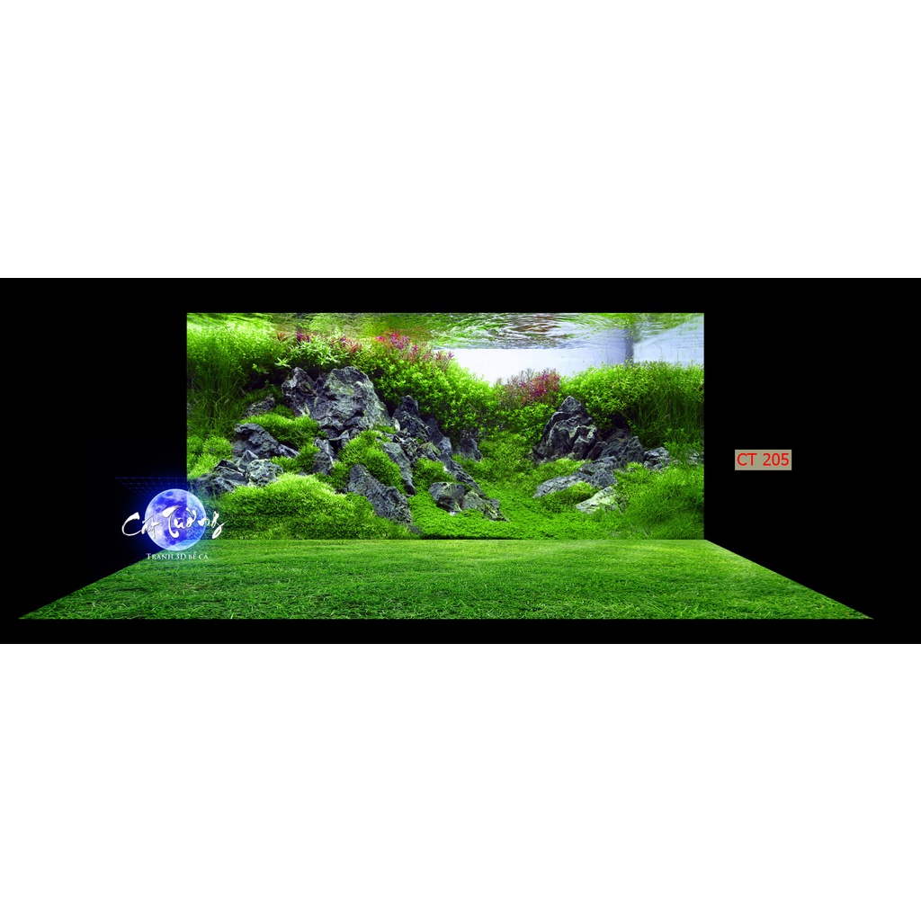 Tranh 3d dán bể cá thủy sinh, bể cá rồng
